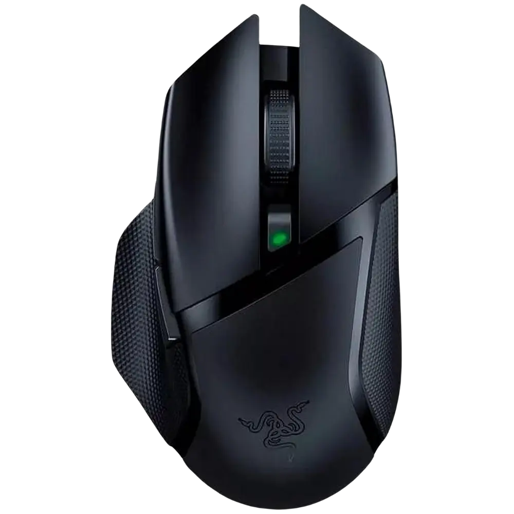 Mouse